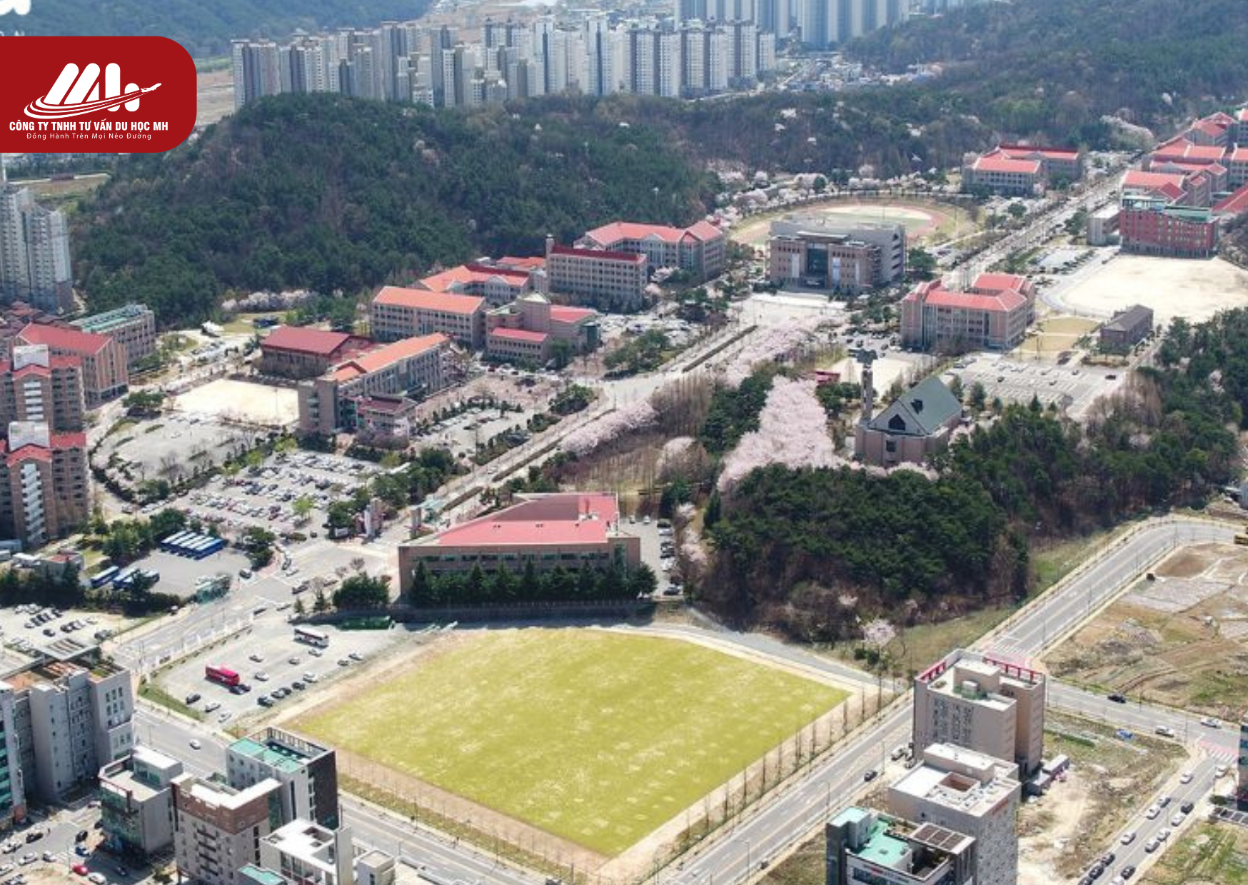 [2026] Top 7 trường Đại học Hàn Quốc ở Daejeon tốt nhất – CÔNG TY TNHH ...